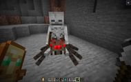 Image via Minecraft Wiki